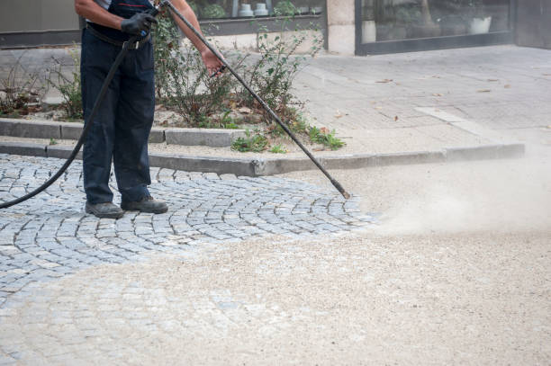 Animal Enclosure Cleaning in Canton, SD